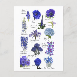 Postal Carte Postale Fleurs bleu