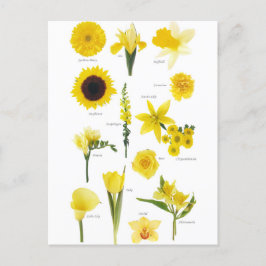 Postal Carte Postale Fleurs jaune