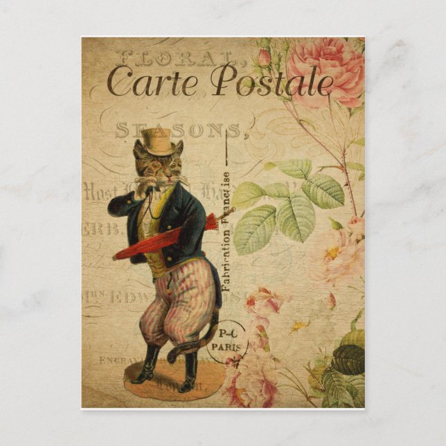 Postal Carte Postale. Gato vintage. (Anverso)