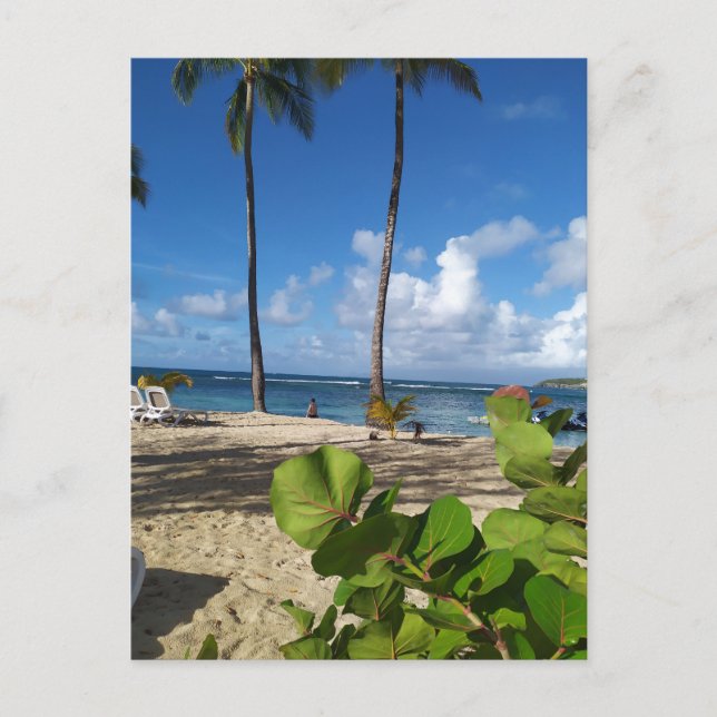 Postal Carte postale Guadeloupe (Anverso)