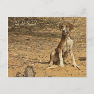 Postal Carte postale Idi du Sahel
