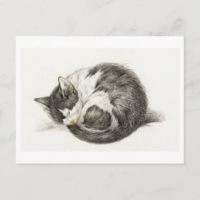 Postal Carte Postale Joyeux Anniversario Chaton (Anverso)