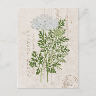 Postal Carte Postale la floral francesa de encaje de la r