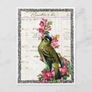 Postal Carte postale oiseau