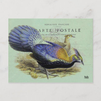 Postal Carte postale oiseau violet