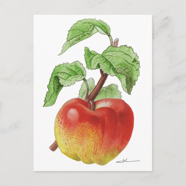 Postal Carte postale " Pomme Jeanne Hardy " (Anverso)