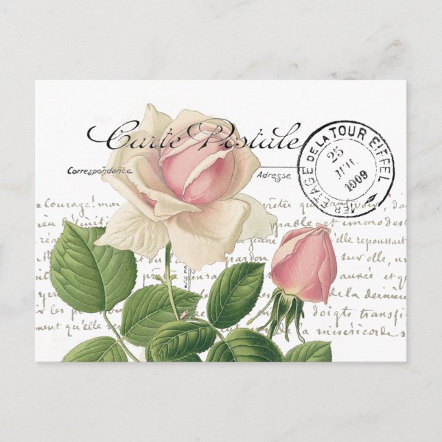 Postal Carte Postale rosa rosa rosa rosa rosa rojo guión  (Anverso)