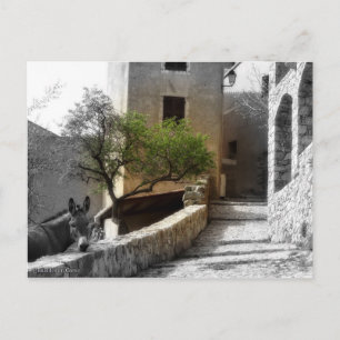 Postal Carte postale SANT'ANTONINO