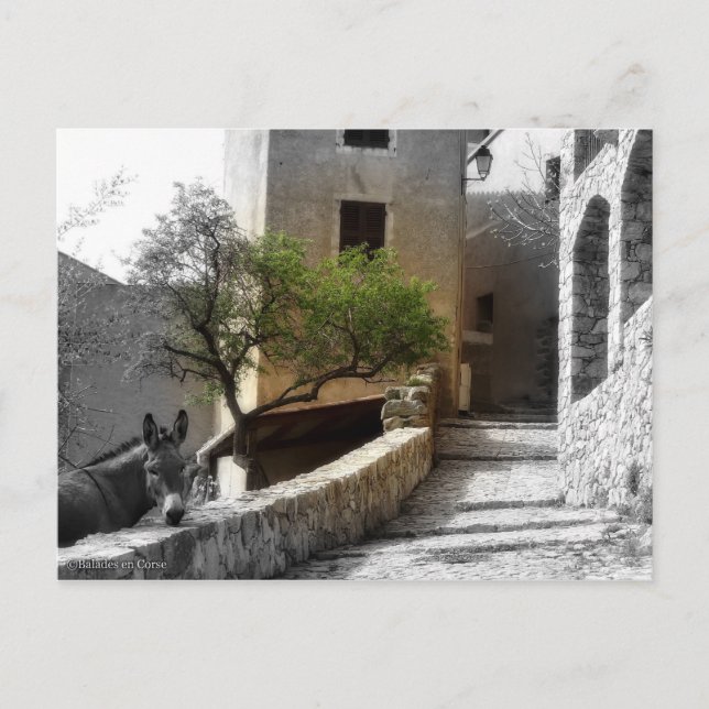 Postal Carte postale SANT'ANTONINO (Anverso)