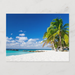 Postal Carte postale - Sous le soleil des tropiques