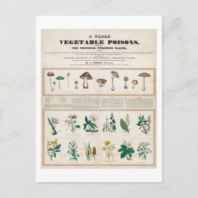 Postal Cartel de la cosecha de venenos (Anverso)