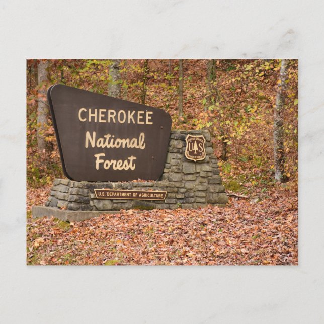 Postal Cartel del Bosque Nacional Cherokee en otoño en Te (Anverso)