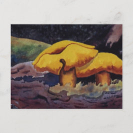 Postal Cartera de la naturaleza