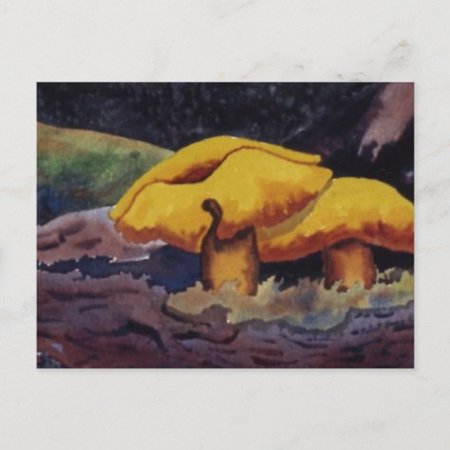 Postal Cartera de la naturaleza (Anverso)