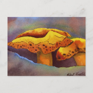 Postal Cartera de la naturaleza