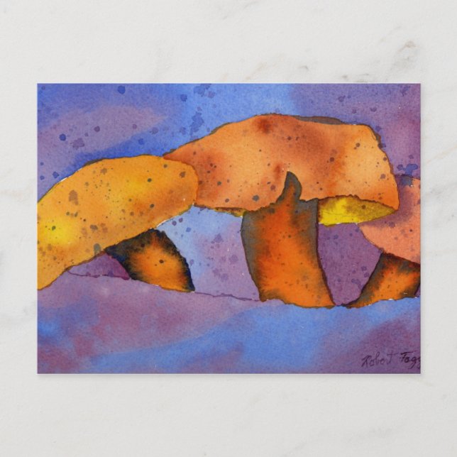 Postal Cartera de la naturaleza (Anverso)