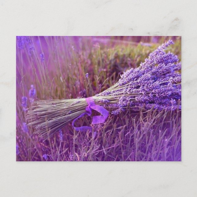 Postal Cartes postale bouquet de lavandes (Anverso)