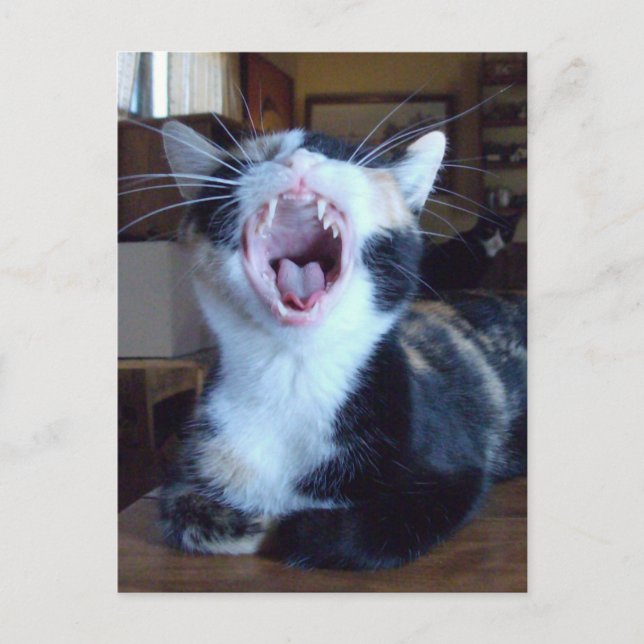 Postal Cartucho de carne 30 (Anverso)