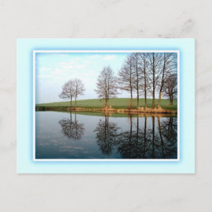 Postal Cartuchos de la Naturaleza Postcard Personalizado