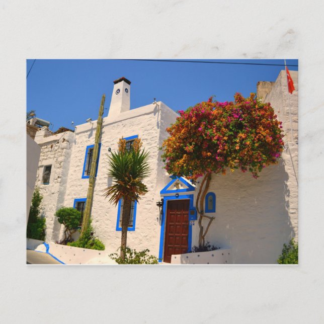 Postal Casa Blanca con Puerta Azul (Anverso)