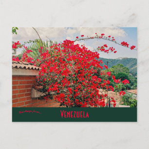 Postal Casa con flores Caracas Venezuela