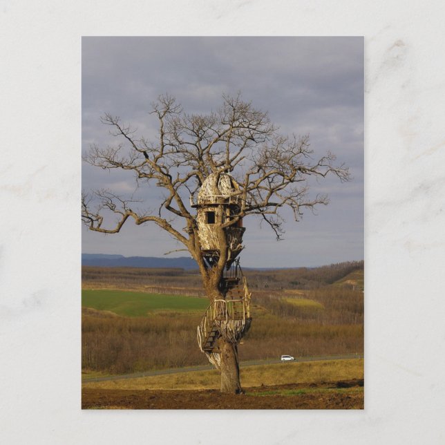 Postal Casa de árbol (Anverso)