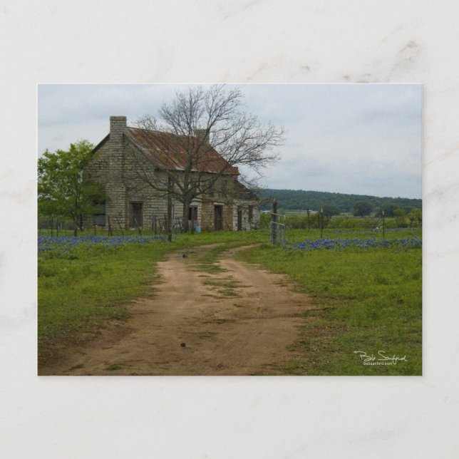 Postal Casa de campo de Texas con redes de arándanos (Anverso)
