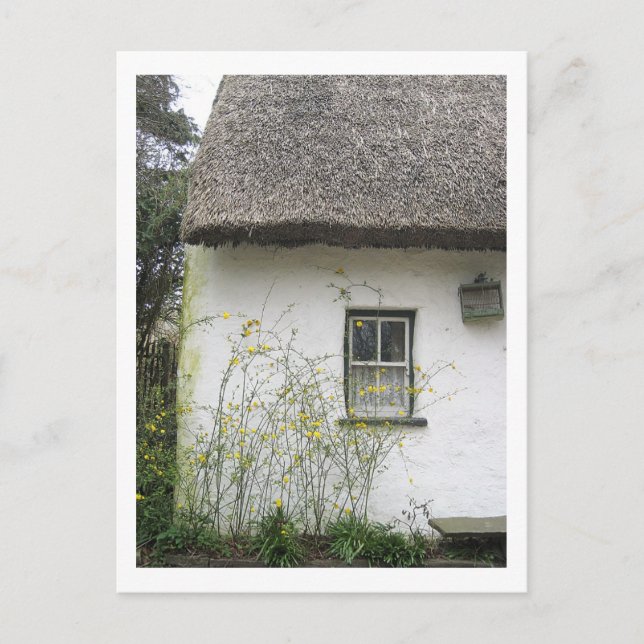 Postal Casa de la flor (Anverso)