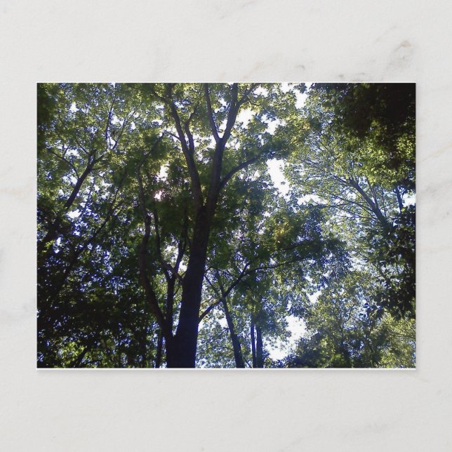 Postal Casa de los Elfos (Anverso)