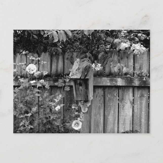 Postal Casa de pájaros en verano (Anverso)