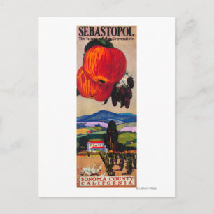 Postal Casa del Poster Gravenstein