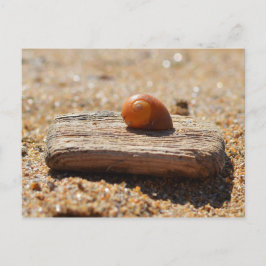 Postal Casa En La Playa