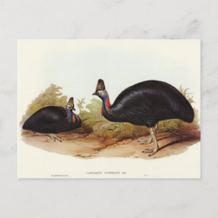 Postal Casada australiana por Elizabeth Gould