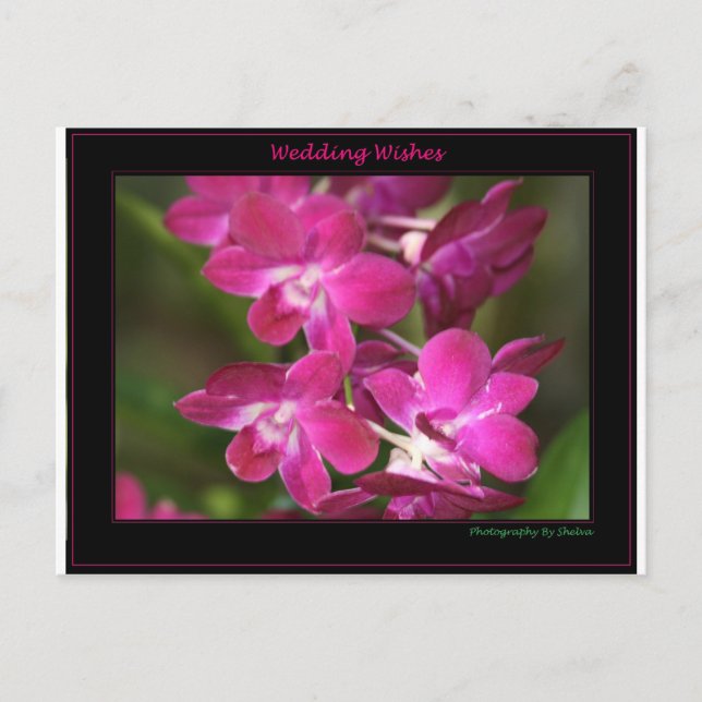 Postal Casar uno (Anverso)