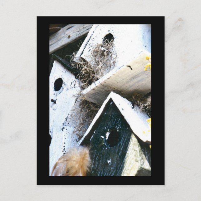 Postal Casas De Aves (Anverso)