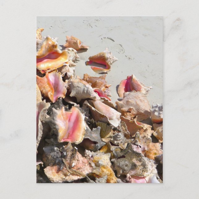 Postal Casas de mar en la playa | Foto de Turcas y Caicos (Anverso)