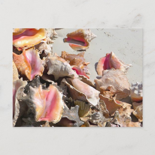 Postal Casas de mar en la playa | Foto de Turcas y Caicos (Anverso)