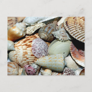 Postal Casas de mar reunidas en la playa Isla Sanibel Fl