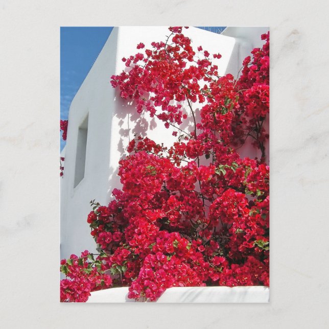 Postal Casas de Mykonos (Anverso)