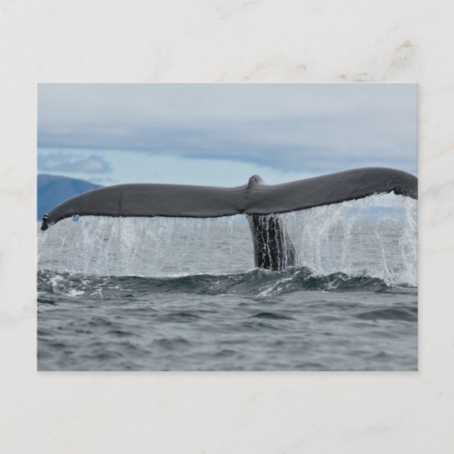 Postal Cascada (Anverso)