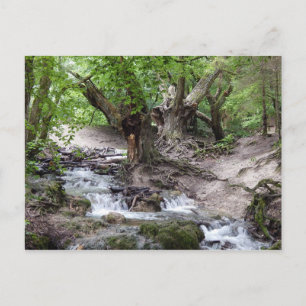 Postal cascada