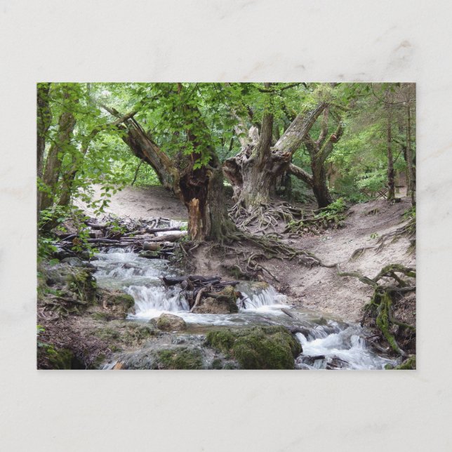 Postal cascada (Anverso)