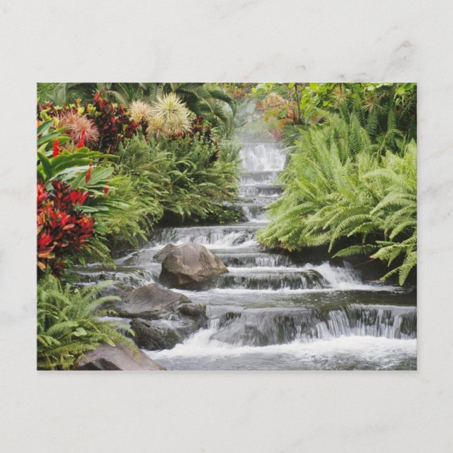 Postal Cascada (Anverso)
