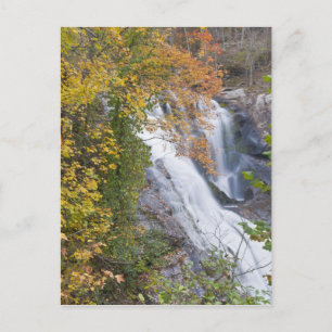 Postal Cascada Bald River