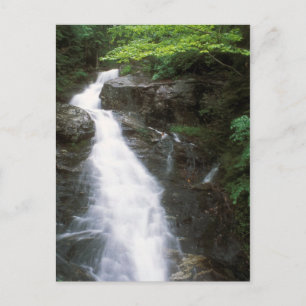 Postal Cascada Beaver Brook Monte Moosilauke NH