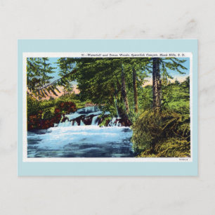 Postal Cascada, bosques, cañón de langosta, Black Hills S