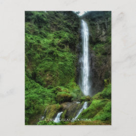 Postal Cascada de agua natural verde exuberante y fresca
