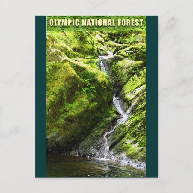 Postal Cascada de los BOSQUES OLÍMPICOS NAT'L (Anverso)