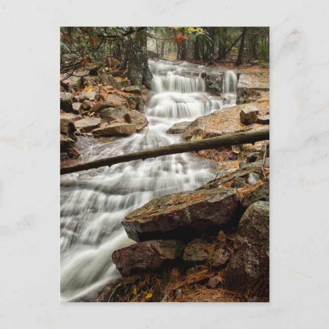 Postal Cascada de los bosques tranquilos (Anverso)