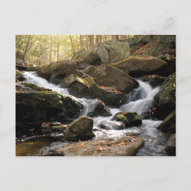 Postal Cascada de montaña húmeda II (Anverso)